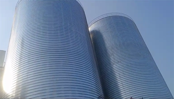 汉阳2座混凝土高架卷板仓